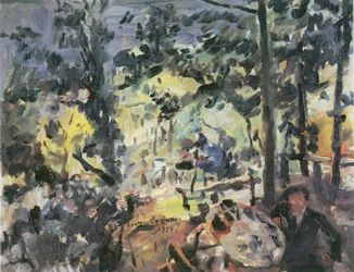 Wachensee, en la terraza